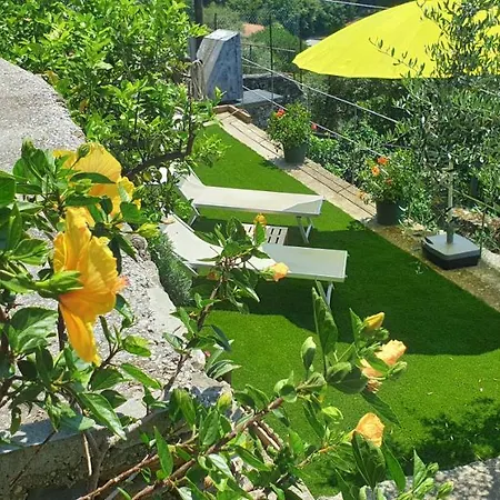 Creuza De Ma Guest house