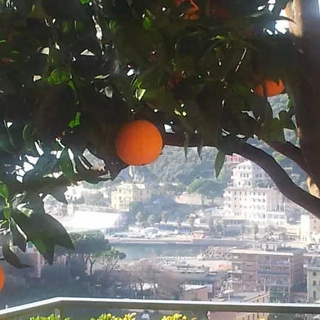 Pensionat Creuza De Ma Recco